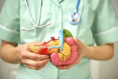 foto-pessoa-com-um-pancreas-de-brinquedo-nas-maoswebp