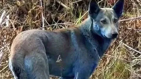 6936f4f2e9ff7135f404a91c