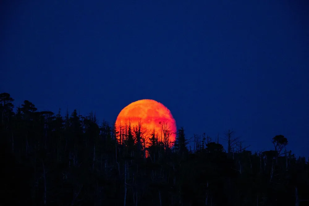 nationalgeographic-luna-roja